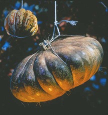 Autumnal