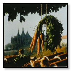 Cinelandia (Kunta Hora)