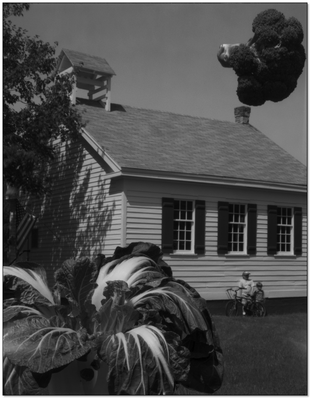 SCHOOLhouse (press)